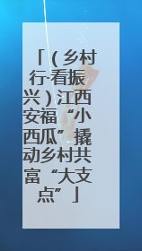 （乡村行·看振兴）江西安福“小西瓜”撬动乡村共富“大支点”