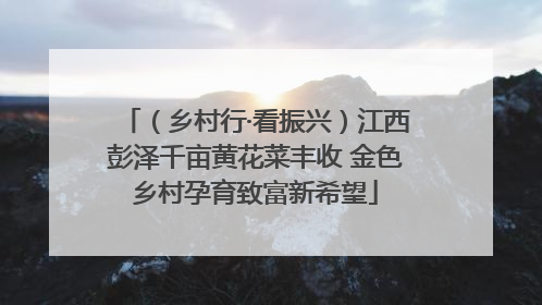 （乡村行·看振兴）江西彭泽千亩黄花菜丰收 金色乡村孕育致富新希望