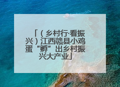 （乡村行·看振兴）江西赣县小鸡蛋“孵”出乡村振兴大产业