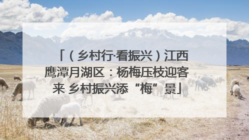 （乡村行·看振兴）江西鹰潭月湖区：杨梅压枝迎客来 乡村振兴添“梅”景