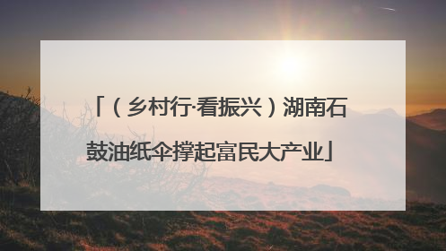（乡村行·看振兴）湖南石鼓油纸伞撑起富民大产业