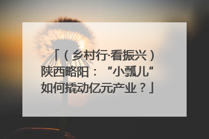 （乡村行·看振兴）陕西略阳：“小瓢儿”如何撬动亿元产业？