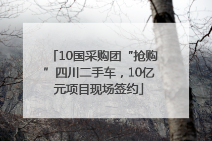 10国采购团“抢购”四川二手车，10亿元项目现场签约