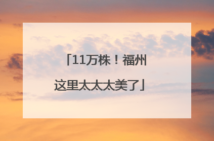 11万株！福州这里太太太美了