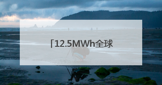 12.5MWh全球最大容量储能系统发布 合肥一季度储能系统同比增长425%