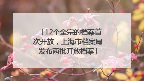 12个全宗的档案首次开放，上海市档案局发布两批开放档案