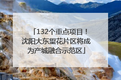132个重点项目！沈阳大东望花片区将成为产城融合示范区