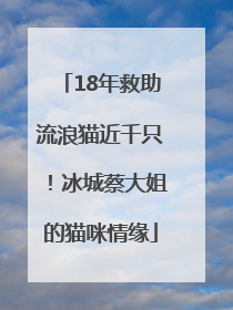 18年救助流浪猫近千只！冰城蔡大姐的猫咪情缘