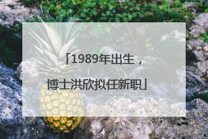 1989年出生，博士洪欣拟任新职