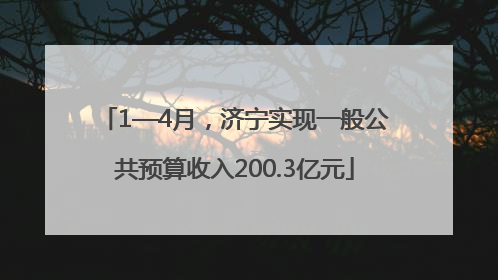 1—4月，济宁实现一般公共预算收入200.3亿元