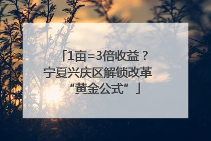 1亩=3倍收益？宁夏兴庆区解锁改革“黄金公式”
