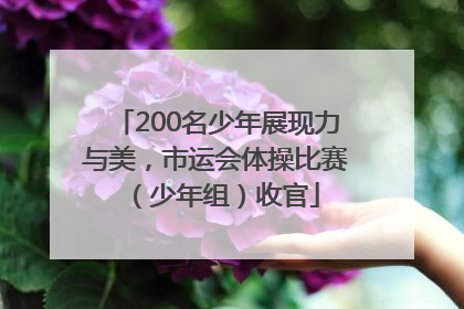 200名少年展现力与美，市运会体操比赛（少年组）收官