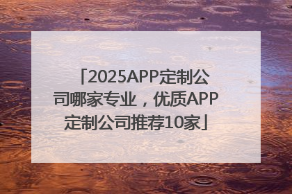 2025APP定制公司哪家专业，优质APP定制公司推荐10家