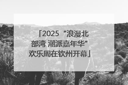 2025“浪漫北部湾 潮派嘉年华”欢乐周在钦州开幕