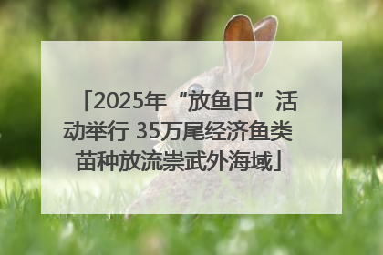 2025年“放鱼日”活动举行 35万尾经济鱼类苗种放流崇武外海域