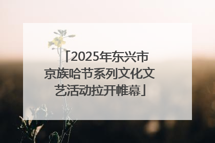 2025年东兴市京族哈节系列文化文艺活动拉开帷幕