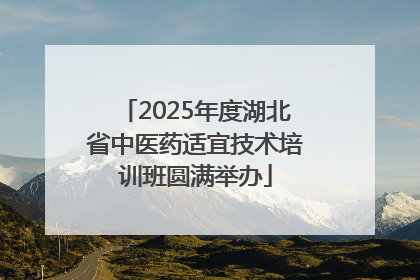 2025年度湖北省中医药适宜技术培训班圆满举办