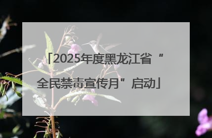 2025年度黑龙江省“全民禁毒宣传月”启动