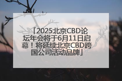 2025北京CBD论坛年会将于6月11日启幕！将延续北京CBD跨国公司活动品牌
