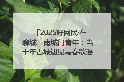 2025好网民·在聊城｜南城门青年：当千年古城遇见青春歌谣 一湖碧水见证的“聊城式浪漫”