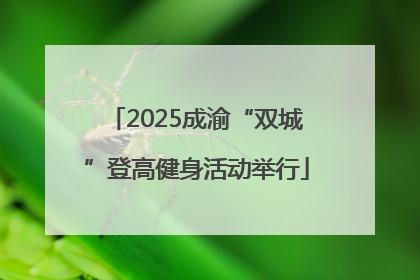 2025成渝“双城”登高健身活动举行