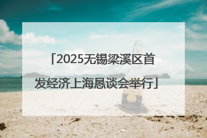 2025无锡梁溪区首发经济上海恳谈会举行