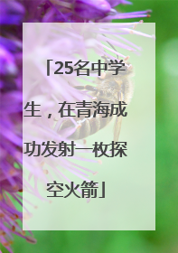 25名中学生，在青海成功发射一枚探空火箭