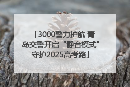 3000警力护航 青岛交警开启“静音模式”守护2025高考路