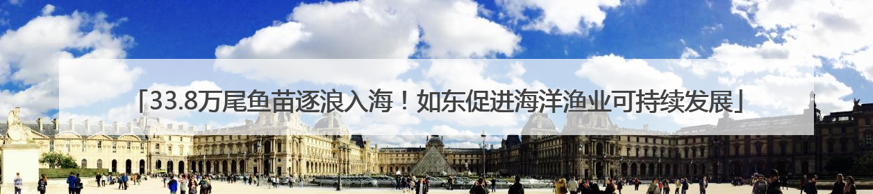33.8万尾鱼苗逐浪入海！如东促进海洋渔业可持续发展