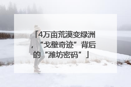 4万亩荒漠变绿洲，“戈壁奇迹”背后的“潍坊密码”
