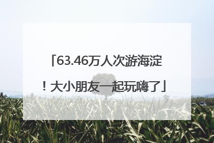 63.46万人次游海淀！大小朋友一起玩嗨了