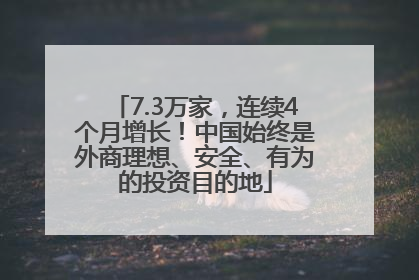 7.3万家，连续4个月增长！中国始终是外商理想、安全、有为的投资目的地