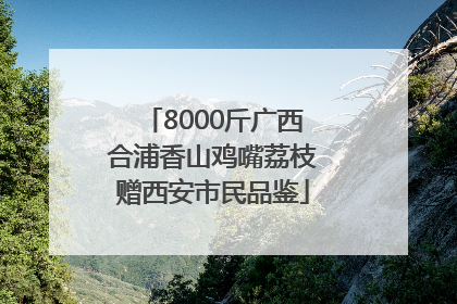 8000斤广西合浦香山鸡嘴荔枝赠西安市民品鉴