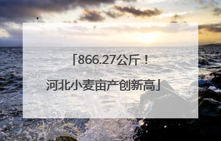 866.27公斤！河北小麦亩产创新高