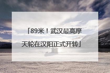 89米！武汉最高摩天轮在汉阳正式开转