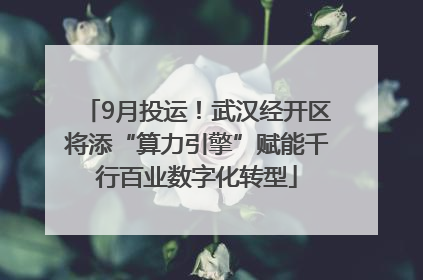 9月投运！武汉经开区将添“算力引擎”赋能千行百业数字化转型