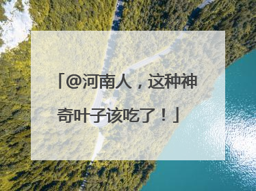 @河南人，这种神奇叶子该吃了！