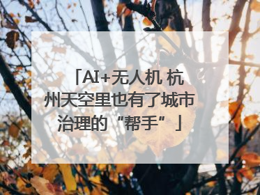 AI+无人机 杭州天空里也有了城市治理的“帮手”