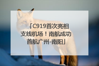 C919首次亮相支线机场！南航成功首航广州-南阳