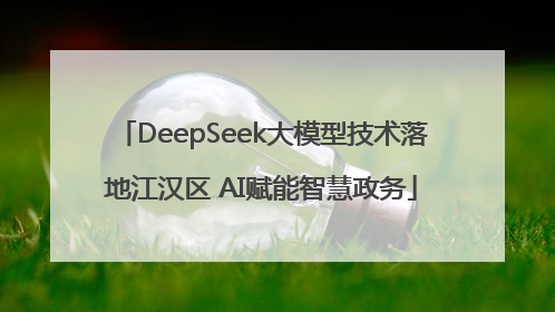 DeepSeek大模型技术落地江汉区 AI赋能智慧政务