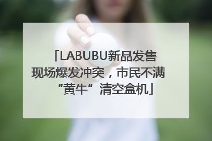 LABUBU新品发售现场爆发冲突，市民不满“黄牛”清空盒机